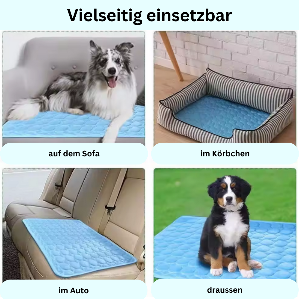 Paw-Kühlmatte